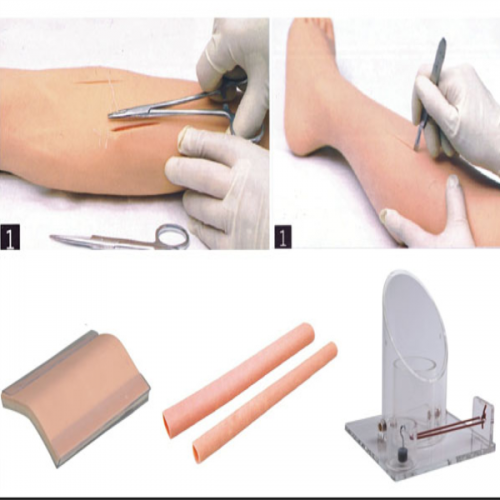 外科綜合技能訓練組合模型
